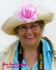 sinwp past member Sharon Daniel