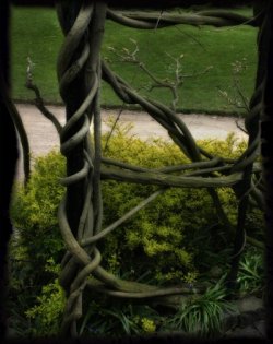 sample image created by Michaela Bentzin