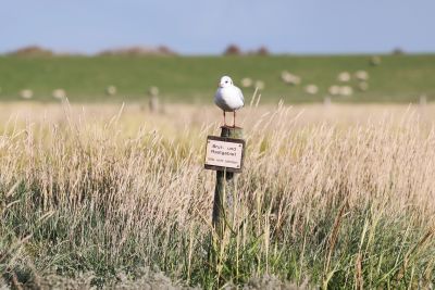 Bird Photography Competition
