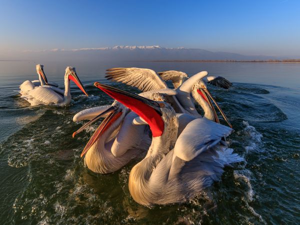 Great Outdoors Photography Competition Entry 32