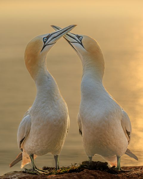Great Outdoors Photography Competition Entry 45