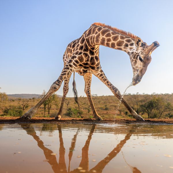 Great Outdoors Photography Competition Entry 46