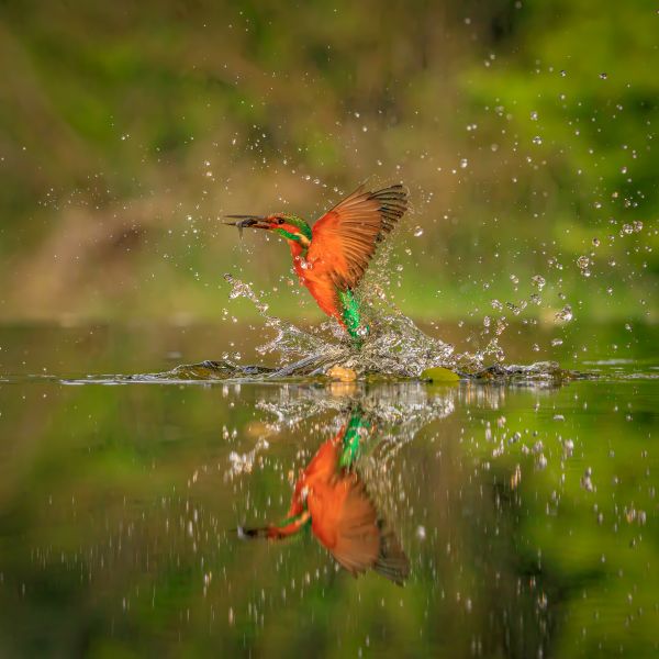 Great Outdoors Photography Competition Entry 53