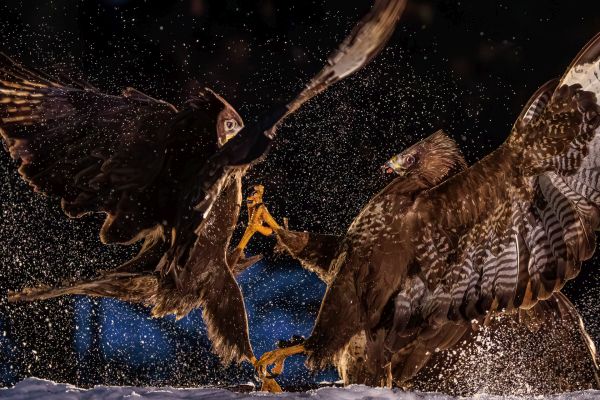 Great Outdoors Photography Competition Entry 55