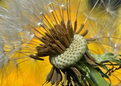 All Things Great and Small Photography Competition