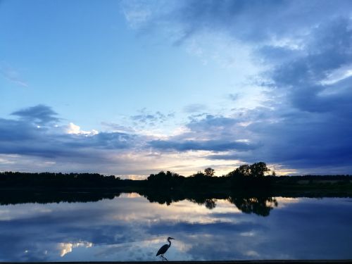 Bird Photography Competition