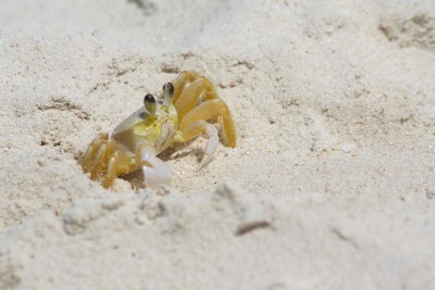Discovering Nature Photography Competition