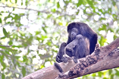 Life on Earth Photography Competition