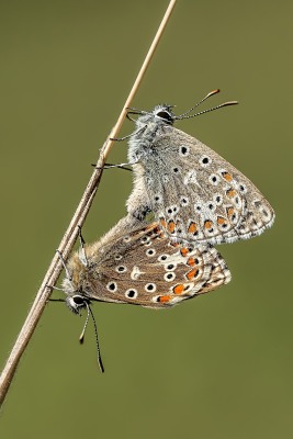 Nature's Surprises Photography Competition