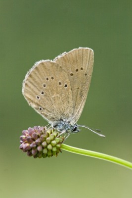Nature's Surprises Photography Competition