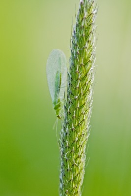 Nature's Surprises Photography Competition