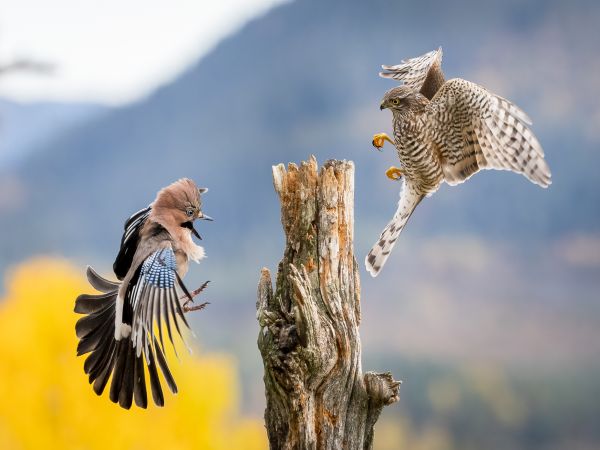 Our World Photography Competition