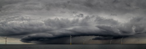 Power of Nature Photography Competition