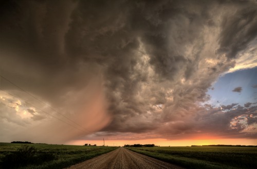 Power of Nature Photography Competition