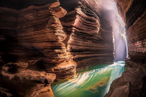 Power of Nature Photography Competition
