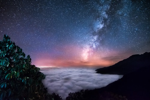 Power of Nature Photography Competition