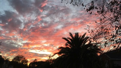Vistas Photography Competition
