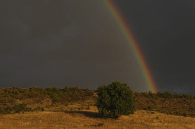 Vistas Photography Competition