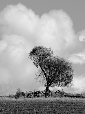 Vistas Photography Competition