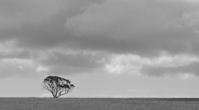 Vistas Photography Competition