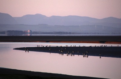 Vistas Photography Competition