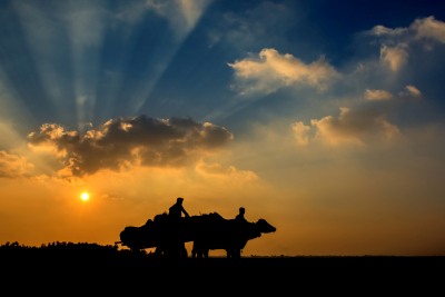 Vistas Photography Competition