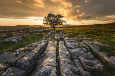 Vistas Photography Competition