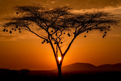 Vistas Photography Competition