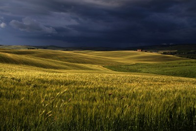 Vistas Photography Competition